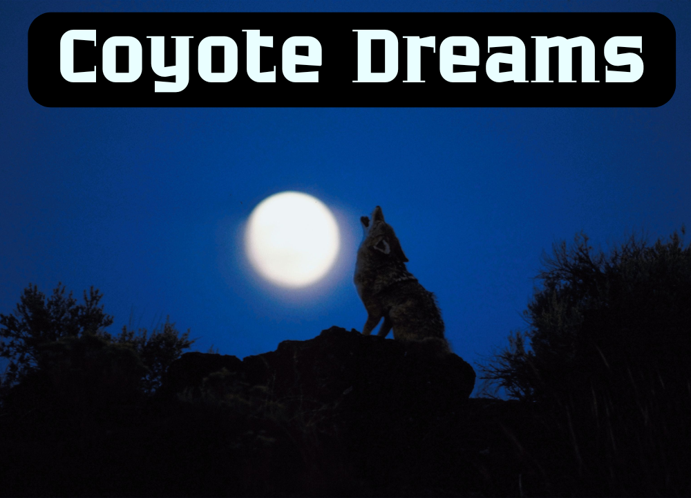 Coyote Dreams photo