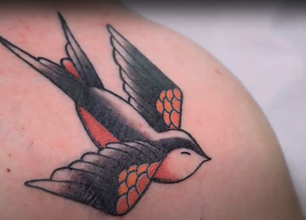 Swallow Tattoo Meanings and Symbolism photo